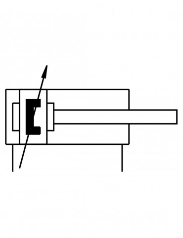 Cilindro normalizado DNC-50-PPV (163368) | Velfair 2